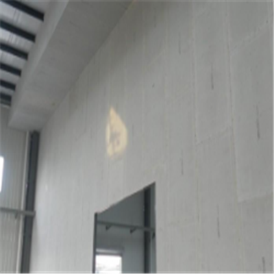 大洼宁波ALC板|EPS加气板隔墙与混凝土整浇联接的实验研讨